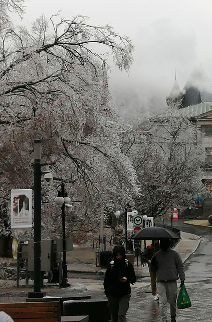 Ice Storm_Springtime_IMG 20230414 003422