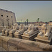 Luxor