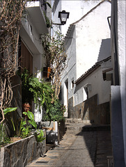 Casares Casares