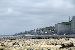 Le Bois de Cise