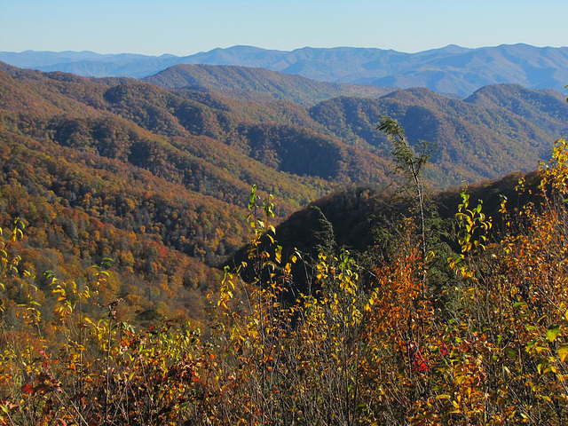 A Lofty View..Great Smokey Mountains, Tennessee...USA