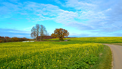 Eine wundervolle Herbst im Schwäbischen Land