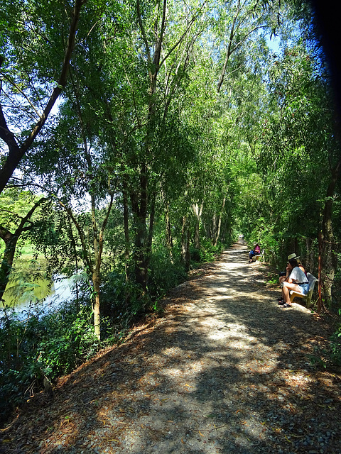 around the Killing Fields_Cambodia