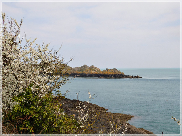 Randonnée sur le GR34 : vue vers l'île des Landes (35)