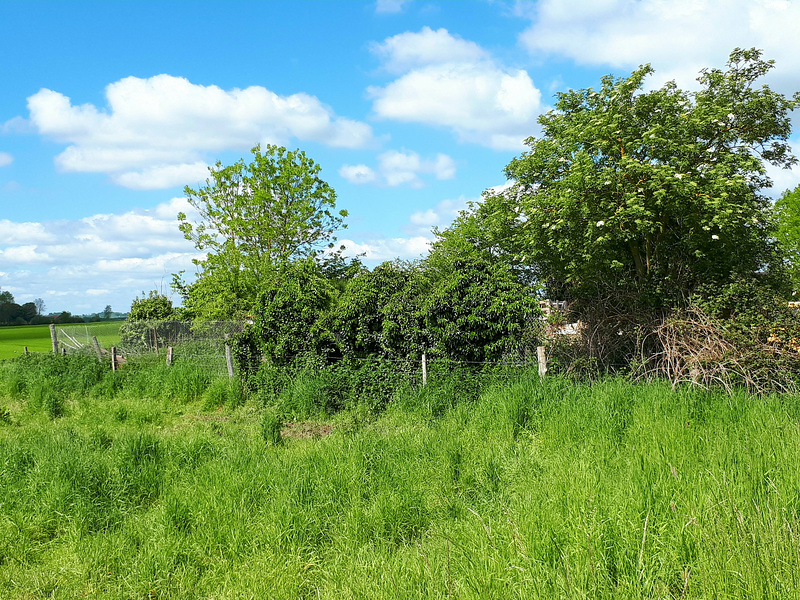 A la campagne