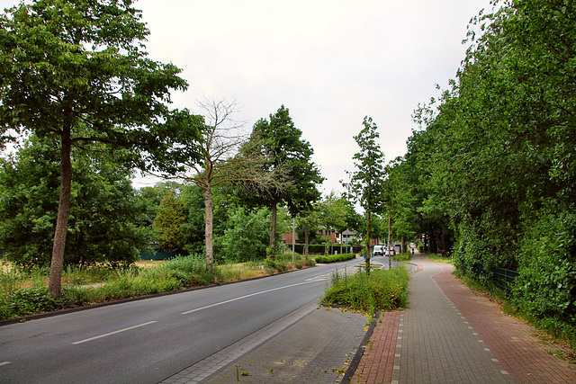 Kirchstraße (Dinslaken-Hiesfeld) / 4.06.2020