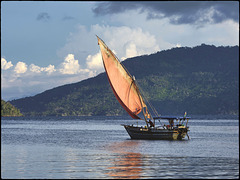Eternelle marine à voile