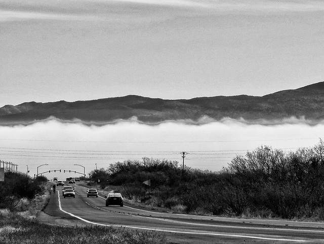 Fog on the San Pedro River