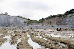 Le Bois de Cise