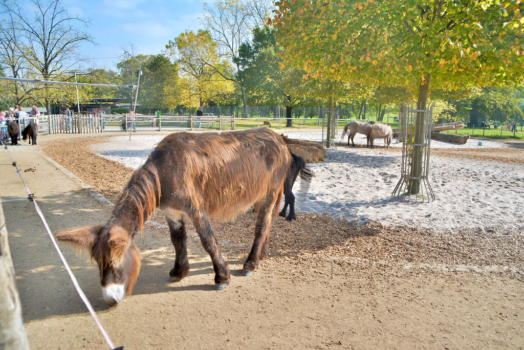 Wilhelma Zoo-Stuttgart