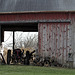 The Tractor and the Barn