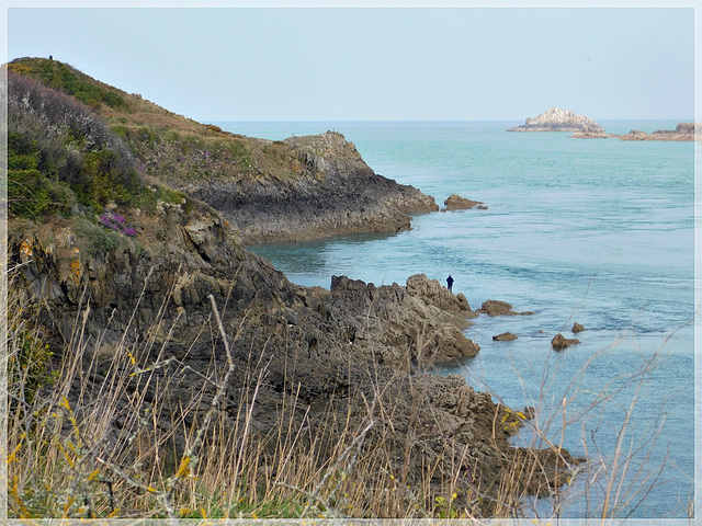 Randonnée sur le GR34 vers la pointe du Grouin (35)