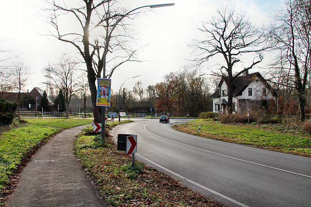 Halterner Straße (Marl-Sinsen) / 1.12.2018