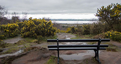 Thurstaston Hill, a bench with a view