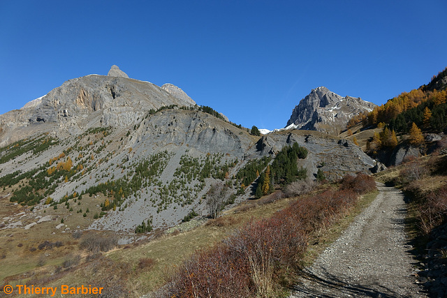 Sentier de l'Alpe du Lauzet 001