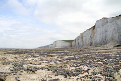 Le Bois de Cise