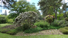 L'Arborétum des Grandes Bruyères...