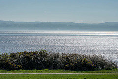 Thurstaston in the sunshine