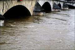 Crue Seine Paris-juin2016