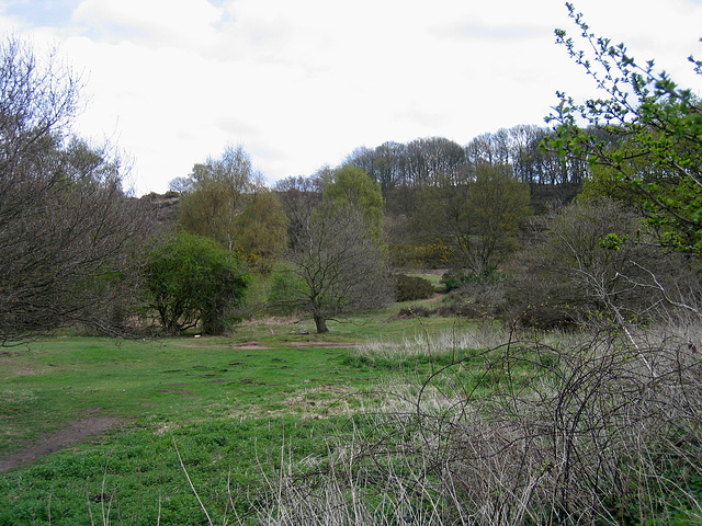 Hartlebury Common from near car park on A4025