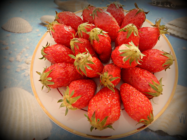 les fraises de plougastel (made in Bretagne)