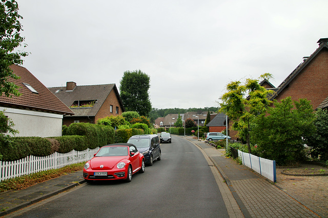 Kiefernweg (Dinslaken-Oberlohberg) / 4.06.2020