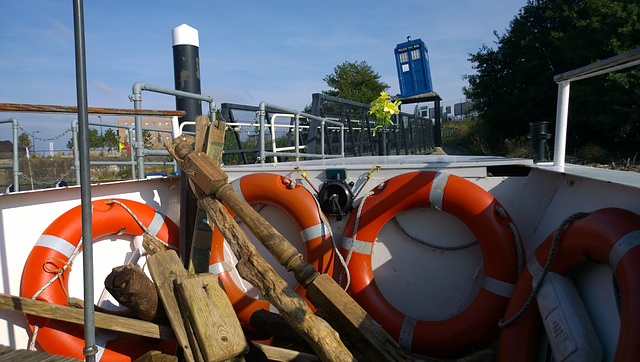 Driftwood & TARDIS