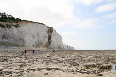 Le Bois de Cise