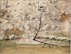 le lac de guerlédan