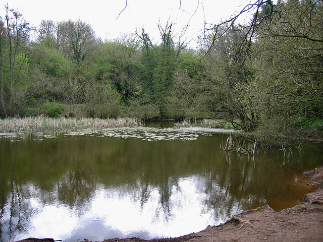 Hilditch Pool