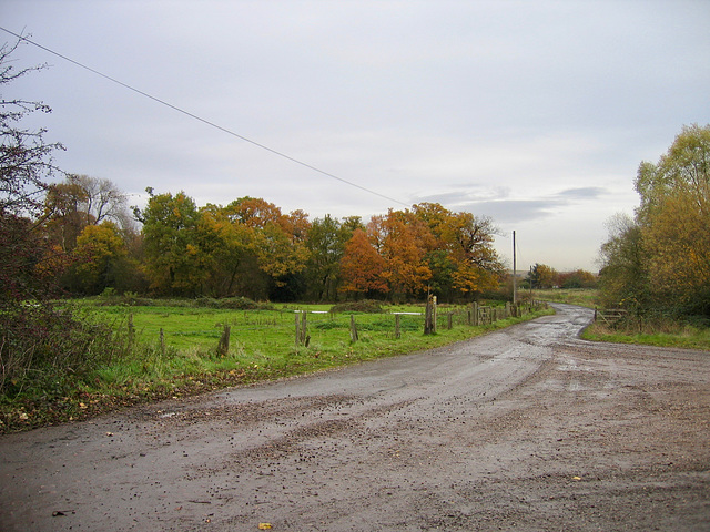 Autumn colours near Middleton Hall,