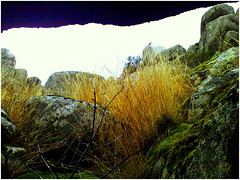 Rock window. ahead is the vultures' favourite white (guano stained) rock, with one vulture sitting  unawares!