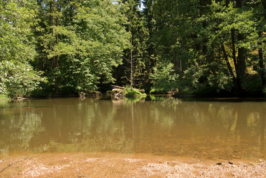 Waldnaabtal bei Falkenberg