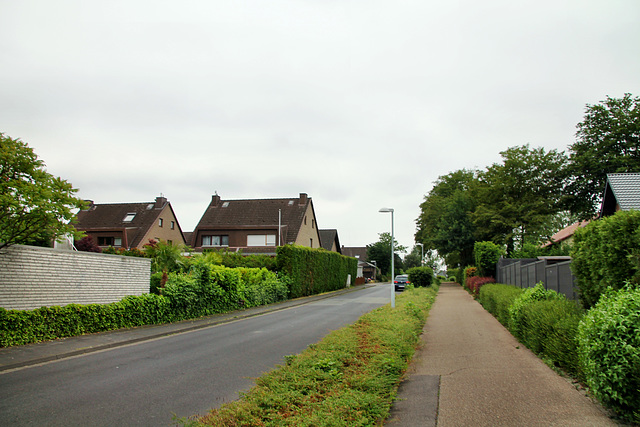 Fichtenstraße (Dinslaken-Hiesfeld) / 4.06.2020