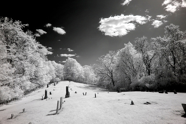 Not a bad place to rest for eternity