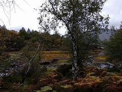 Aird Mhor, near Shieldaig