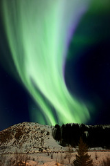 Lofoten, Leknes, Northern lights