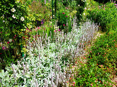 FR - Giverny - Claude Monets Haus und Garten