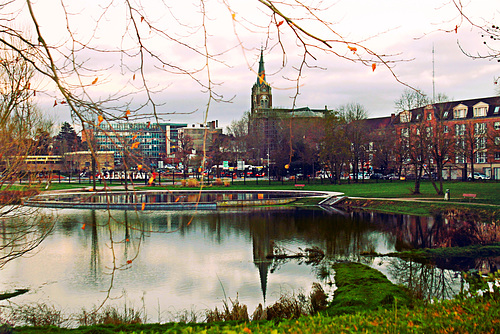 Parc du lion 131 (1)
