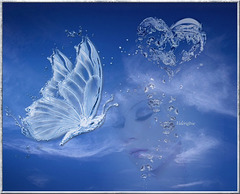 Papillon de cristal******