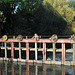 Les vannes du moulin de Garennes-sur-Eure