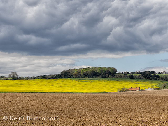 Under a threatening sky......