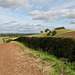 Looking back northward to Crutch Hill