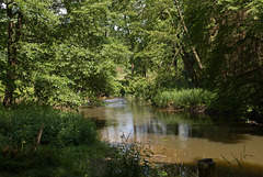 Waldnaabtal bei Falkenberg