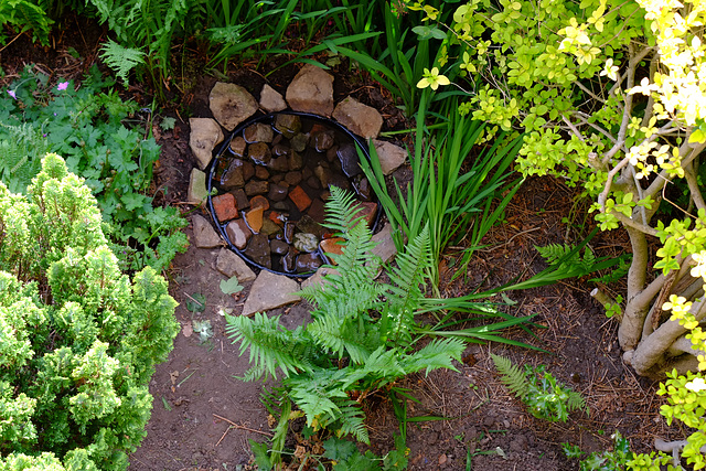 Jean made a garden pond