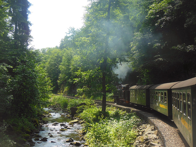 Kleinbahn im Rabenauer Grund