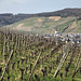 Blick aus den Bachemer Weinbergen nach Ahrweiler