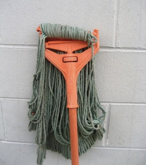 par - angry mop