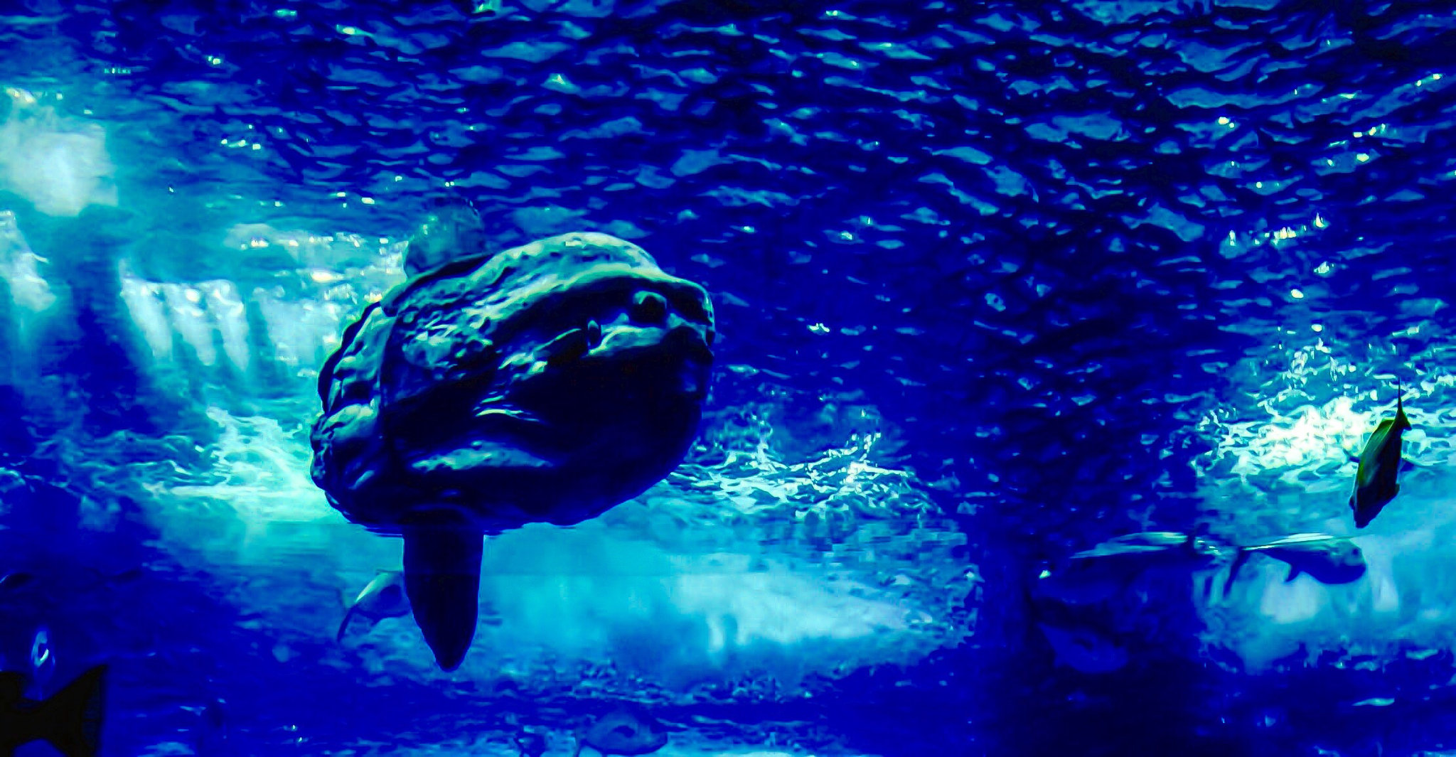 Underwater Nightmare