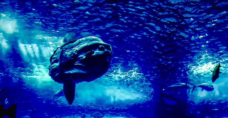 Underwater Nightmare